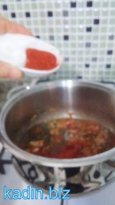 şehriyeli tavuk çorbası4