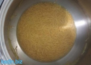 şehriyeli tavuk çorbası2